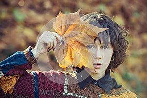 Autumn woman face. Autumn model. Young woman with autumn leaves in hand and fall yellow maple background. Autumn woman