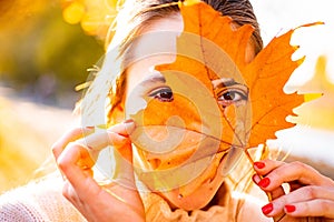 Autumn woman holding yellow maple leaves and hiding her eye. Cute female model looks out of yellow leaves.