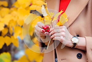 Autumn. Woman with yellow maple leaves and red berries in her hands. A girl in a coat walks in the park outdoors.