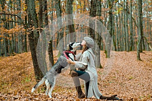 Autumn womanin park. Beautiful young woman playing with funny husky dog outdoors at park. Autumn time, November.