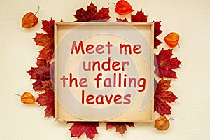 Autumn wood frame with text Meet me under the falling leaves, on wooden board