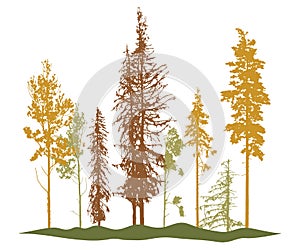 Autumn woodland, silhouette of bare tree, trees with leaves and spruces tree and pines. Vector illustration