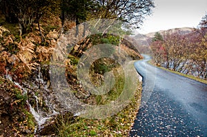 Autumn woodlands and highland road in northern Scotland