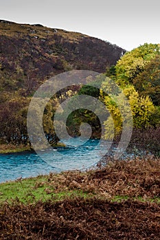 Autumn woodlands and river in northern Scotland