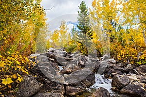 Autumn woods and creek