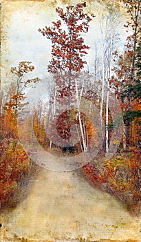 Autumn Woods Trail on Grunge Background