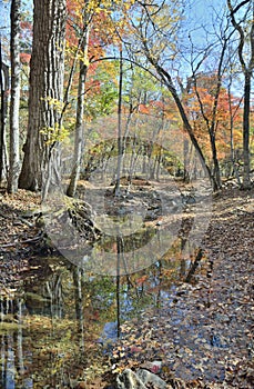 Autumn woodsy river 2