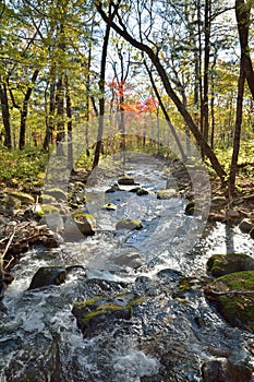 Autumn woodsy river 5 photo