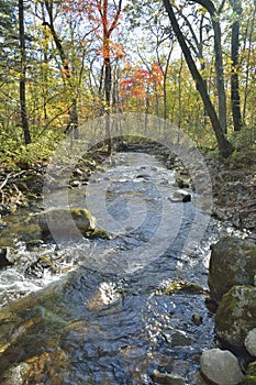 Autumn woodsy river 4 photo