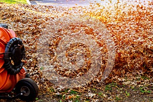 During autumn works man operating a heavy duty leaf blower are being up and glow in the pleasant sunlight