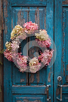 Autumn wreath of faded hydrangea flowers hanging on a blue, rough painted wooden barn door