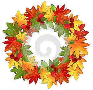 Autumn wreath of leaves and berries with empty space for text. Round frame with orange and yellow maple leaves.