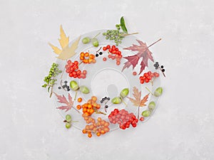 Autumn wreath from leaves, rowan, acorns, flowers and berry on gray background from above. Flat lay style.
