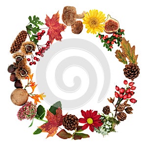 Autumn Wreath with Natural Flora