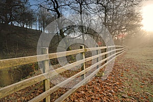 Autumn at Wycollar