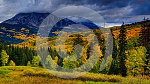 Autumn's Coat Of Colors photo