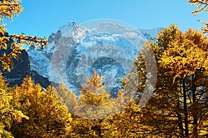 The Autumn at Yading Nature Reserve in Daocheng County ,China