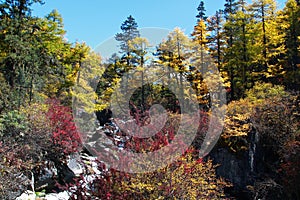 The Autumn at Yading Nature Reserve in Daocheng County ,China