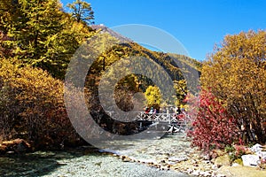 The Autumn at Yading Nature Reserve in Daocheng County ,China