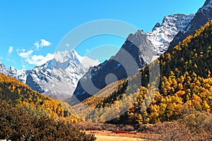 The Autumn at Yading Nature Reserve in Daocheng County ,China