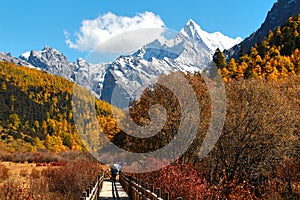 The Autumn at Yading Nature Reserve in Daocheng County ,China