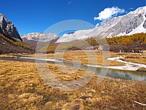 The Autumn at Yading Nature Reserve in Daocheng County ,China