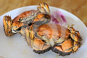 In autumn yangcheng lake hairy crabs