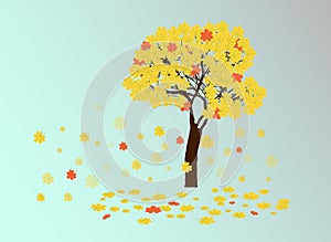 Autumn yellow chestnut tree