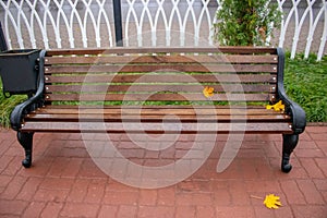 Autumn yellow fallen leaf on the wet wooden bench in the park. Fall season composition after rain