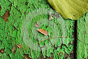 Autumn yellow fallen leaves and twigs on old wooden background texture of boards with cracked green paint. Shabby grunge