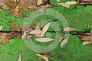 Autumn yellow fallen leaves and twigs on old wooden background texture of boards with cracked green paint. Shabby grunge