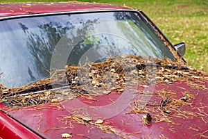 Autumn. Yellow Foliage. Red Car In The Parking Lot Over the City