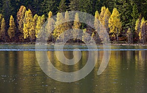 Autumn with the yellow foliage, reflected in Lake