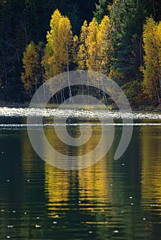 Autumn with the yellow foliage, reflected in Lake