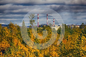 Autumn yellow forest and steel mill (metallurgic works).