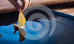 Autumn yellow leaf ship in children hand in water. Boy in park play with boat in river