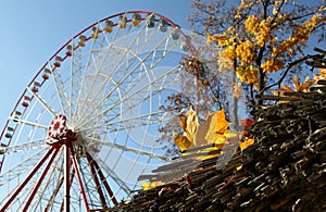 Autumn yellow leaves on background Ferris wheel at the park