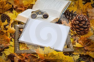 Autumn yellow leaves, Background space for text