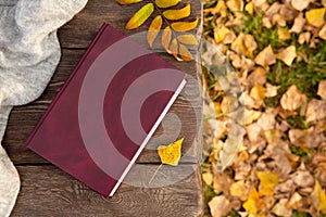 Autumn yellow leaves and book lie on rough boards of wooden bench in park. Autumn background or postcard