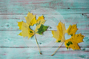 Autumn yellow leaves with hearts.