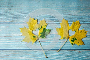 Autumn yellow leaves with hearts.