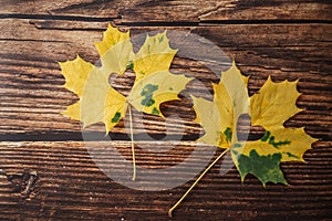 Autumn yellow leaves with hearts.