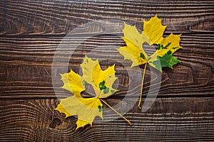 Autumn yellow leaves with hearts.