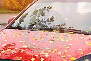 Autumn yellow leaves on wet glass the red color of the car. Close-up. Copy space .