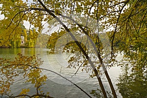 Autumn yellow trees, forest lake landscape, Sofievka park, Ukraine