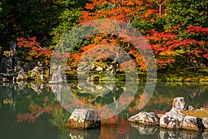 Autumn at zen garden in Arashiyama, Japan