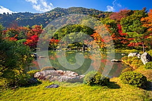 Autumn at zen garden in Arashiyama, Japan