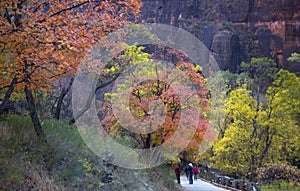 Autumn In Zion