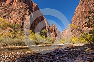 Autumn in the Zion Narrows