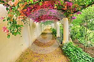 Autumnal arch covered by pink flowers